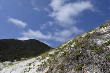 Colina com vegetação tropical e praia de areia branca