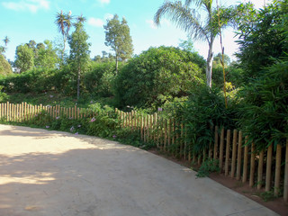 Fototapeta premium A coridor in the zoo