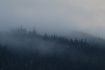 Obraz na płótnie Canvas Nebel am Abend in Alaska