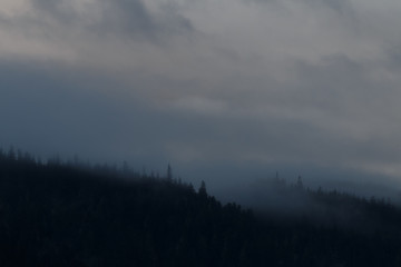 Nebel an einem Abend in Alaska