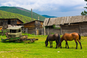 Plakat a red and black horses graze on a green meadow next to old ruined wooden houses and a broken car 