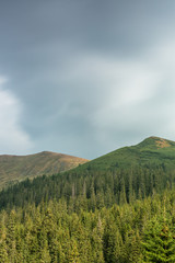 View in to the mountains 