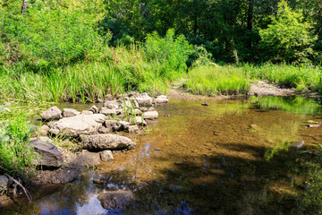 Naklejka na ściany i meble Small river in green forest at summer