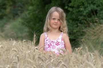 Little blonde girl walking on a wheat field