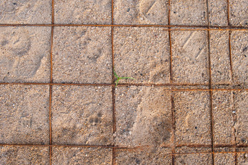 Wire Mesh ground sand