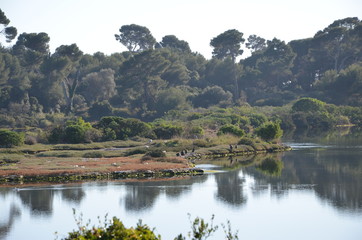 Obraz premium Cannes