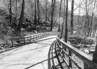Bridge Along Walking Path Through Woods