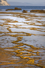 FORMAS DE ROCA EN LA ORILLA 