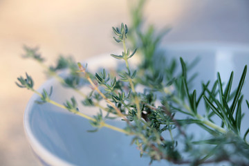  rosemary and thyme