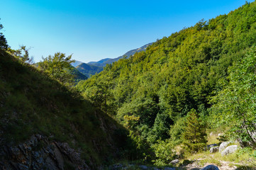 Fototapeta na wymiar Rocce e vegetazione lungo il sentiero