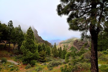 Gran Canaria - Canarie - Spagna