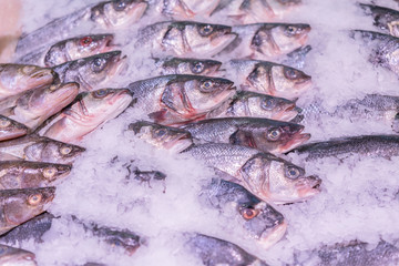 Fresh sea fish in the ice in the store. Clese up of frozen fish. Fresh fishes on ice in open market
