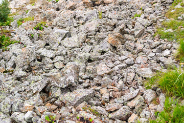 Background texture of a gray brown stone on the rock of the mountain discovered during archaeological excavations as a monument to millions of years of the formation of cancerous deposits under water