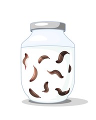 Colored illustration of a glass jar with medical leeches on a white background in the style of a cartoon. Vector illustration herdotherapy, alternative medicine