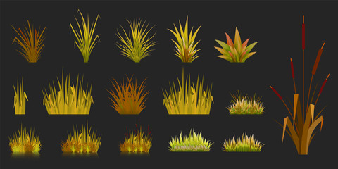 Set of autumn grass on a dark background. Elements of vegetation lawn garden meadow isolate. Vector illustration - 223392154