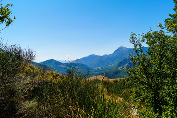 Scorcio dal sentiero