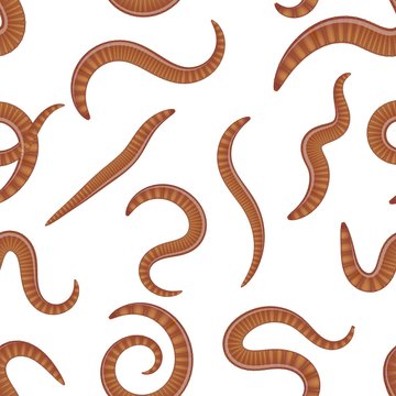 seamless earthworms in different positions on a white background insects dung worms. Vector illustration