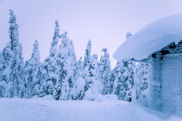 Hut on the Edge of the Forest and a lot of Snow