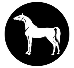A logo of a arabian horse in circle.