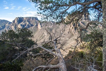 Santa Elena Canyon Trail