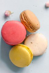 Colorful french macaroons on the blue table