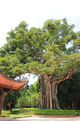 Fototapeta premium Lam Kinh palace in Thanh Hoa ,Vietnam