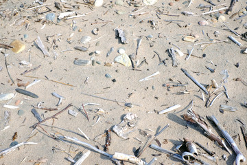 Background with remains of wood and stones on the beach