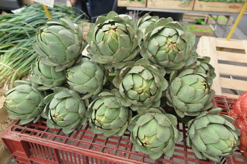 Obraz premium Artischocken in Morlaix, Bretagne