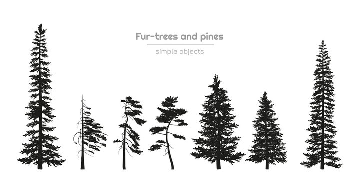 Black silhouettes of fur-trees and pines. Forest landscape. Isolated drawing of simple objects. Vector illustration