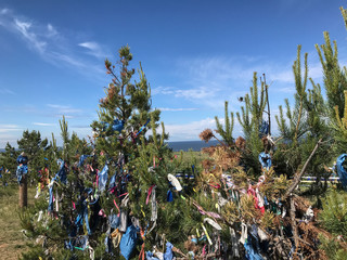 Scraps of fabric in the trees