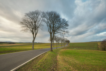 Herbstlandschaft mit Landstraße