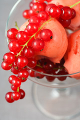 Strawberry sorbet served in a coupe glass with red currant. Gray background, high resolution.