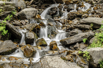 waterfall in forest