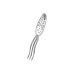 bacteria sign isolated on white background, vector illustration