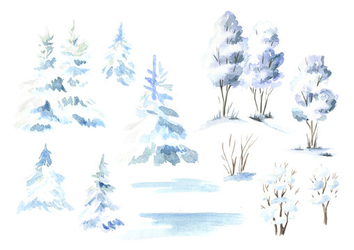 Winter  tree and fir set. Watercolor hand drawn illustration, isolated on white background