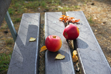 Two red apples on a street bench.