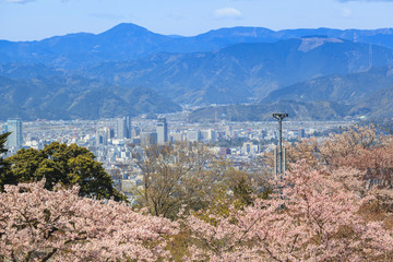 Fuji mountain with sakura trees and Shimizu bay in Shizuoka prefecture, Japan