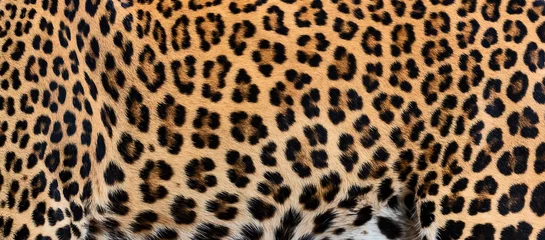 Gartenposter Detailhaut des Leoparden. © ake