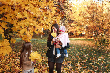 Pretty little daughters with her mommy walks in autumn park - have funny and collect leaves