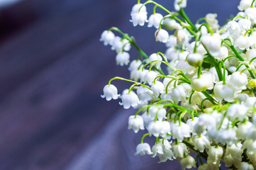 Obraz premium Lilly of the valley flowers close up on dark bokeh background