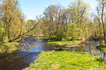 Beautifull view of a calm spring river