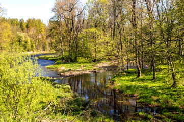 Beautifull view of a calm spring river
