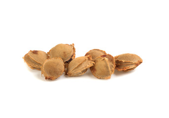 apricot bones isolated on white background