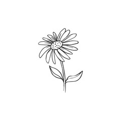 flower isolated on white background, vector illustration