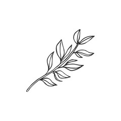 leaf isolated on white background, vector illustration