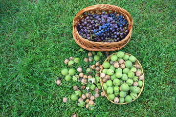 Baskets full of walnuts and grapes