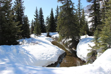 Canadian Rocky Mountain