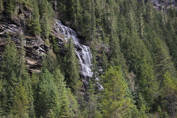 River Safari Canadian Rocky Mountain