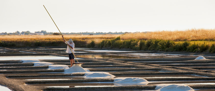Fototapeta Marais salant sur l'île de Noirmoutier