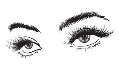 Fototapeta premium Hand-drawn woman's luxurious eye with perfectly shaped eyebrows and full lashes. Idea for business visit card, typography vector. Perfect salon look.